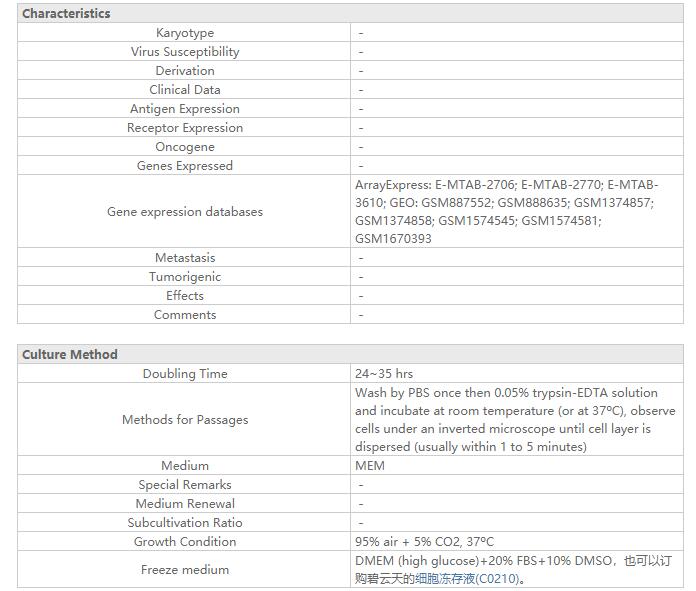 RT112 (人膀胱癌细胞)