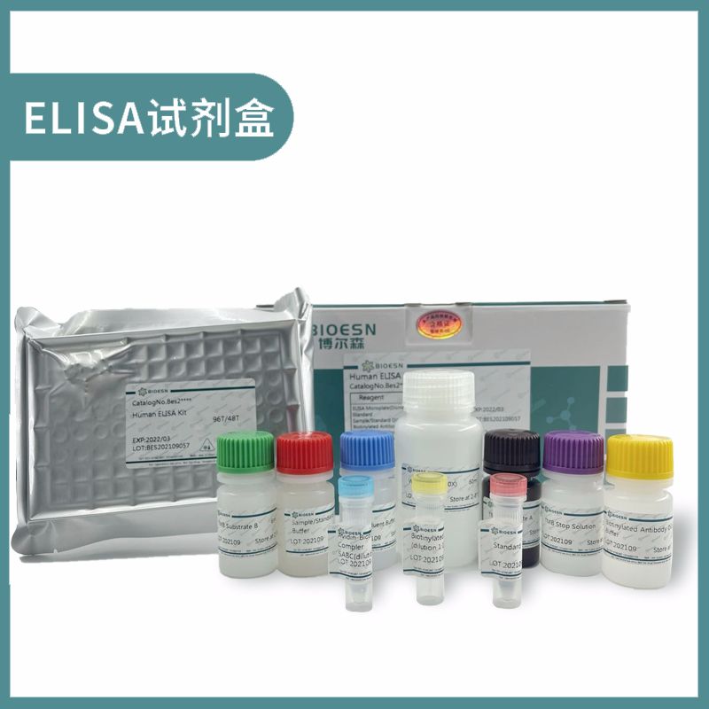 阿尔新蓝-核固红染色试剂盒(pH1.0)