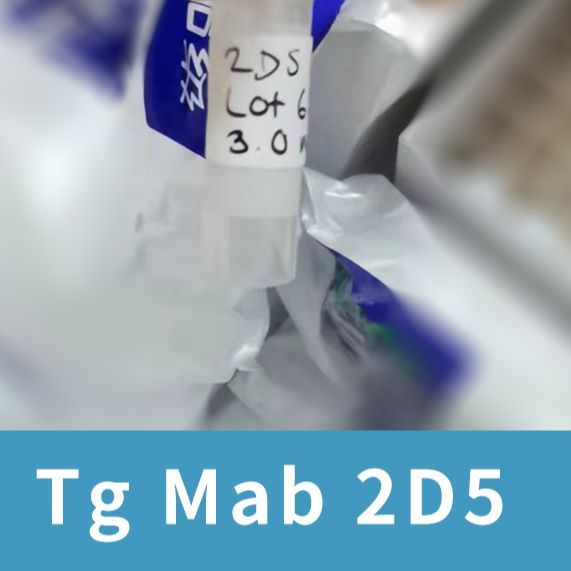 鼠抗人甲状腺球蛋白IgG 2D5 RSR-Tg Mab 2D5
