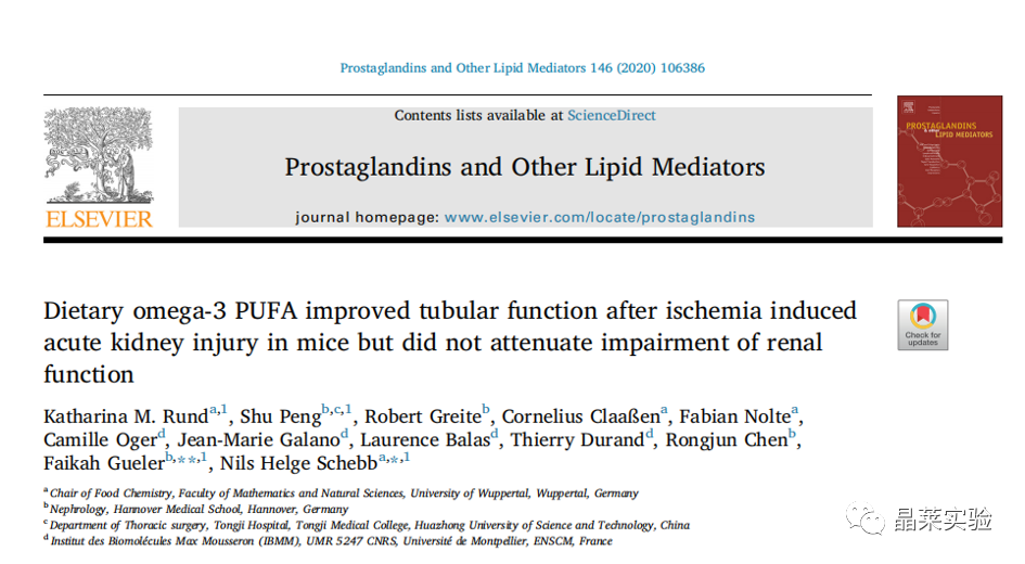 国自然热点文献解读之“膳食omega-3 PUFA改善了缺血诱导小鼠急性肾损伤后的肾小管功能，但不能减轻肾功能损害”