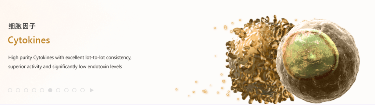 丙二酰染料木苷(6_acute__acute_-O-Malo