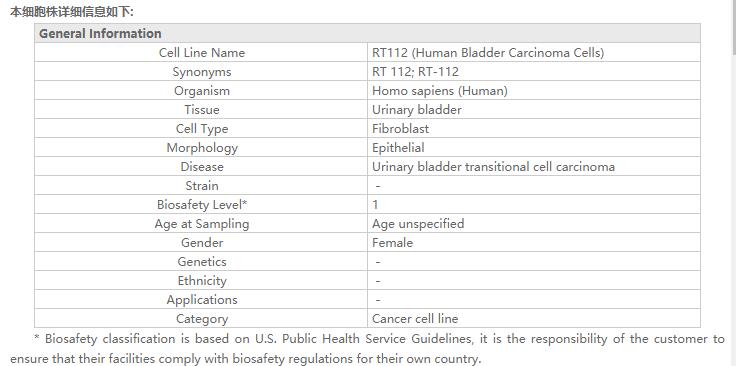 RT112 (人膀胱癌细胞)