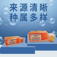 RT112 (人膀胱癌细胞)