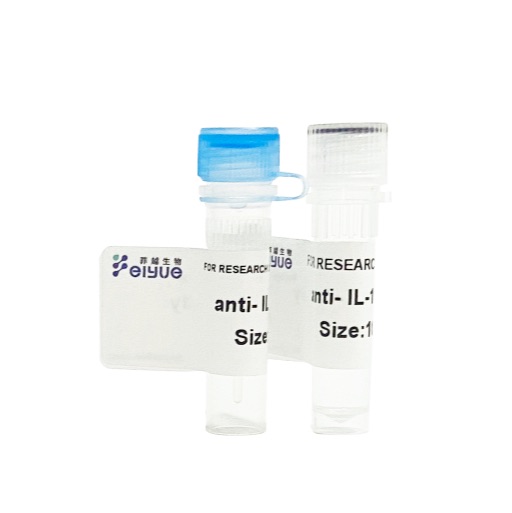 牛血清白蛋白(BSA)单克隆抗体Monoclonal Antibody to Bovine Serum Albumin (BSA)