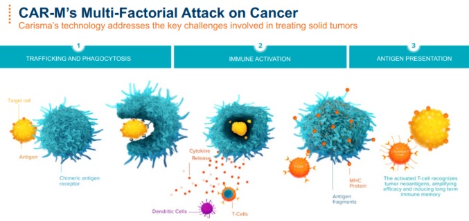 攻克实体瘤再添一员！CAR-M细胞疗法显示实体瘤治疗新希望