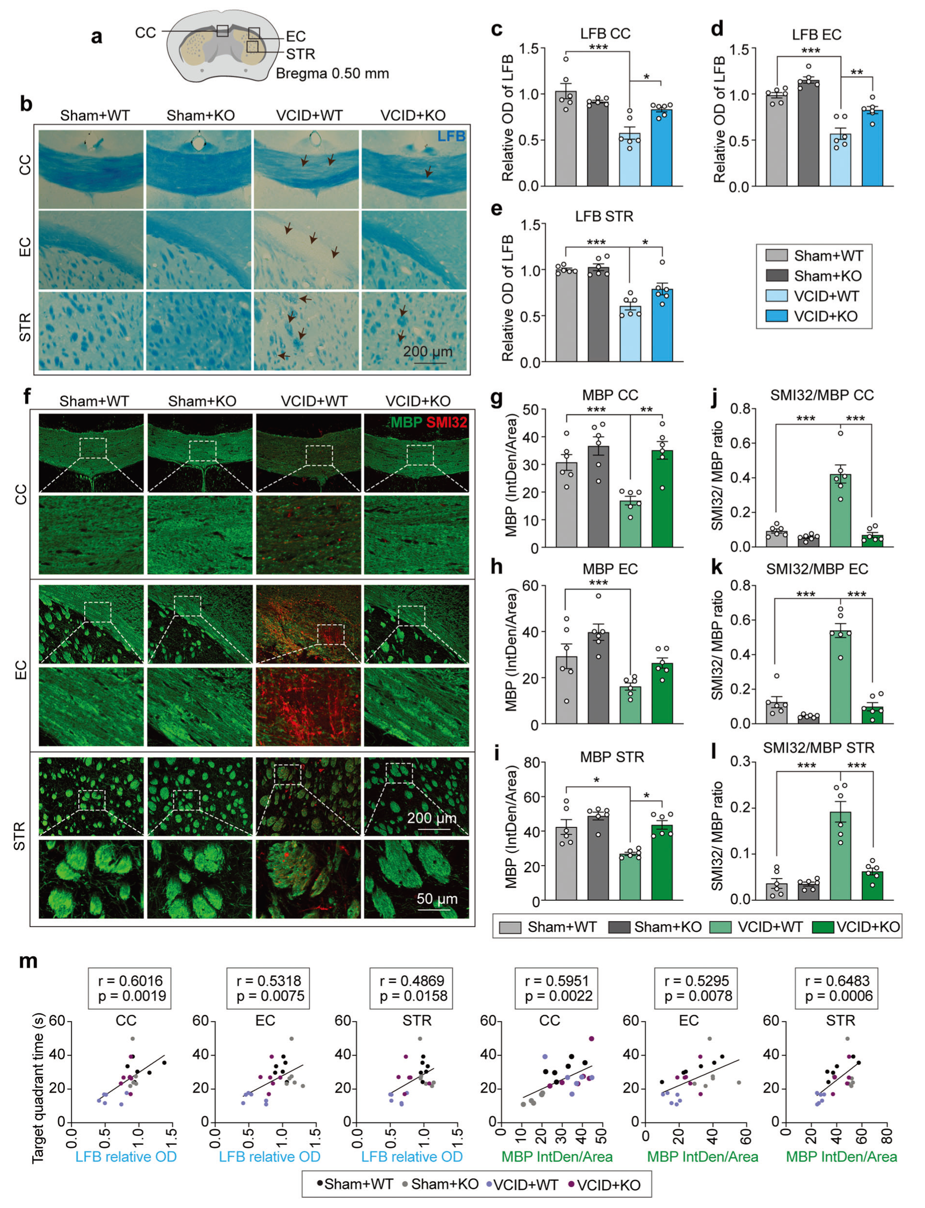 miRNA新研究进展盘点（20220421）