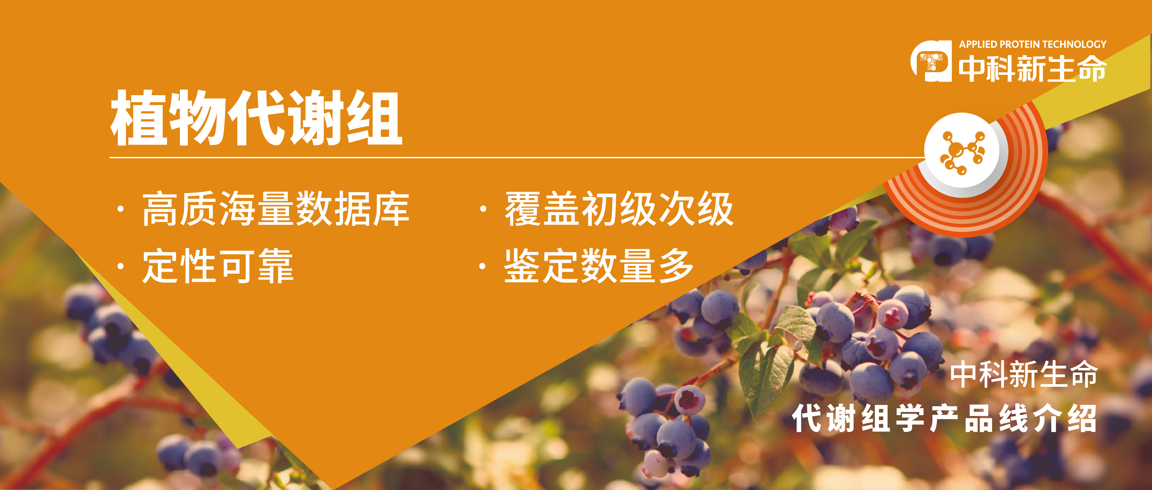 Food Chemistry (IF 7.514) | 植物代谢组助力蓝莓生物活性物质的研究