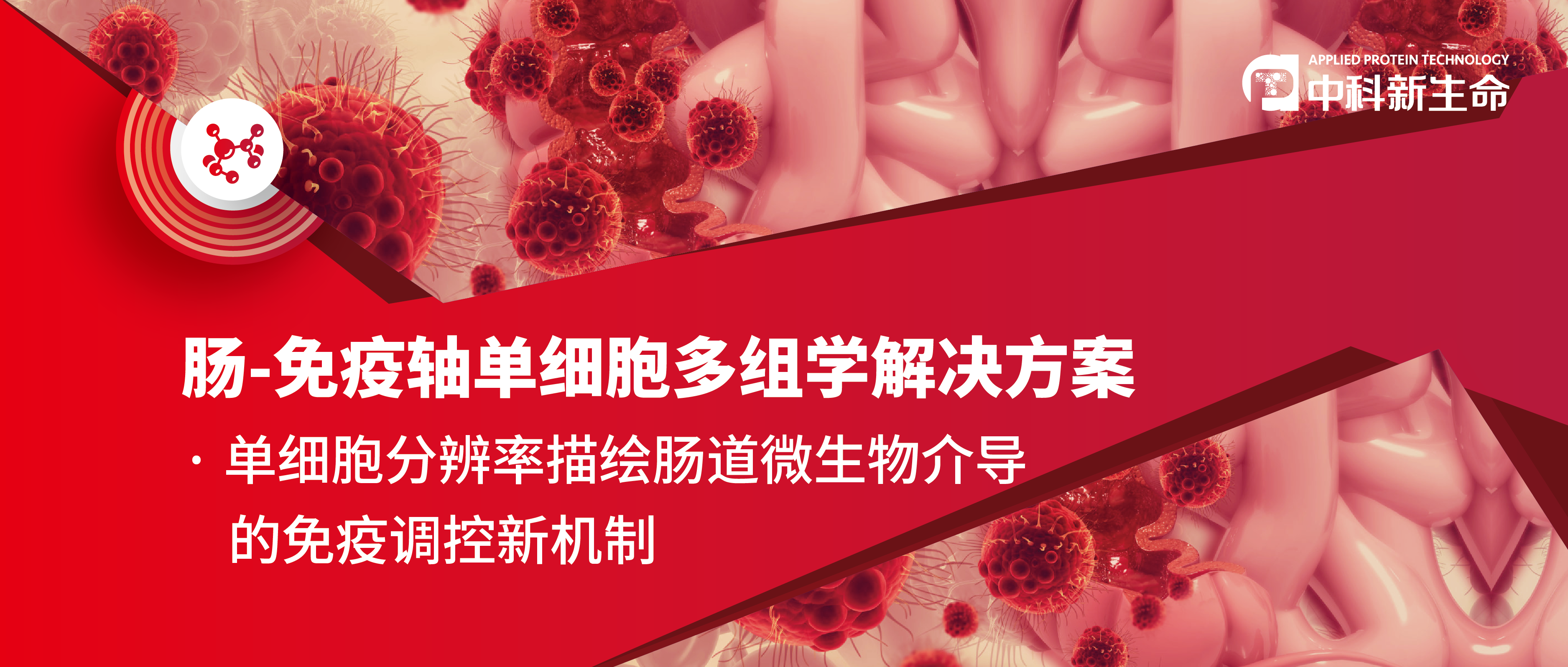 Immunity(31.428) | 单细胞转录组+16S揭示肠道微生物或能为机体免疫系统“充电”