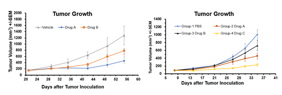 浅谈乳腺癌与 PDX 药筛