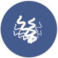 XtenCHO高密度表达系统（重组蛋白表达）