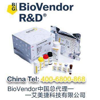 BioVendor miRNA定量检测试剂盒（PCR法）