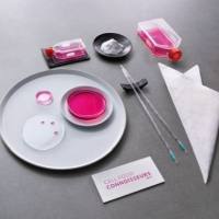 L-丙氨酰-L-酪氨酸二水合物