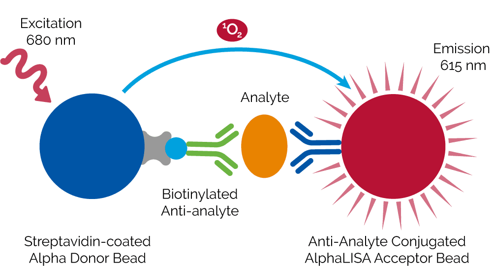 珀金埃尔默推出业内第一款用于CHO HCP残留检测及定量的即用型HTRF®和AlphaLISA®检测试剂盒 