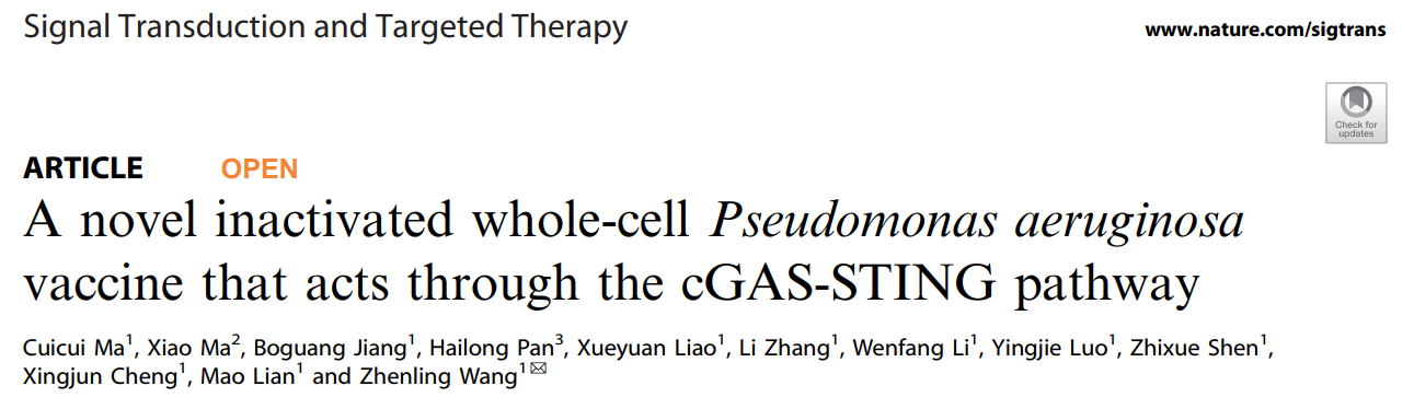集萃药康斑点鼠助力铜绿假单胞菌感染机制和疫苗研究