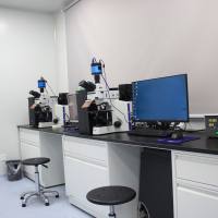 药物毒理学研究服务