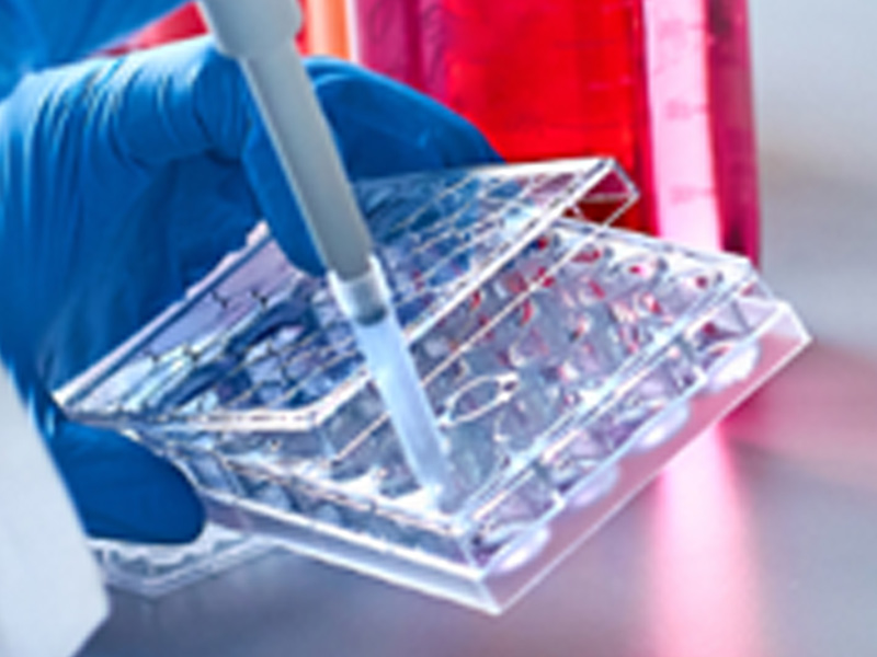 值得收藏的基础流式技术贴（二）