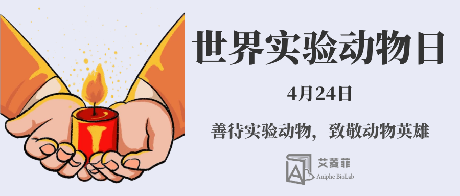 资讯 | 世界实验动物日，致敬！