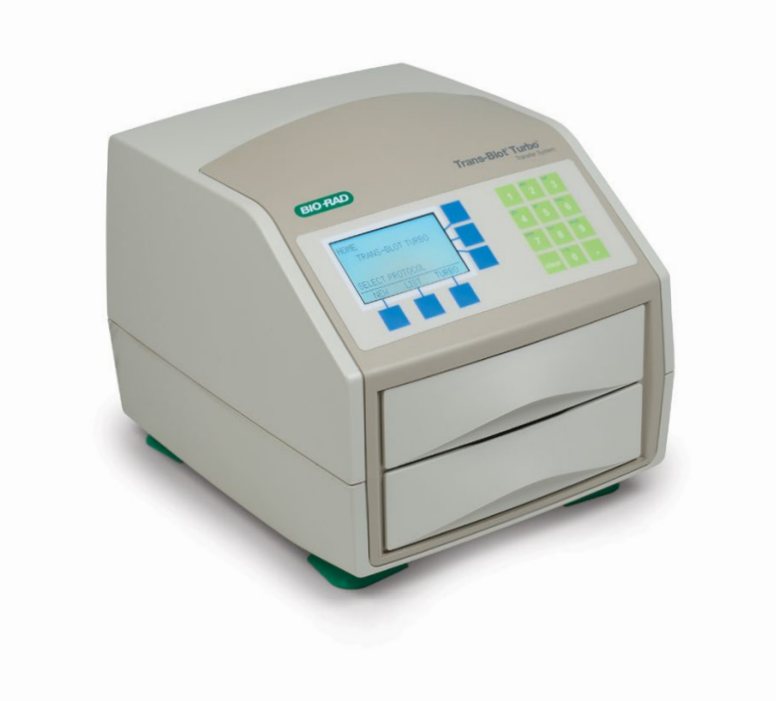 全能快速蛋白转印仪 trans-blot turbo