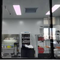 临床前药物代谢服务