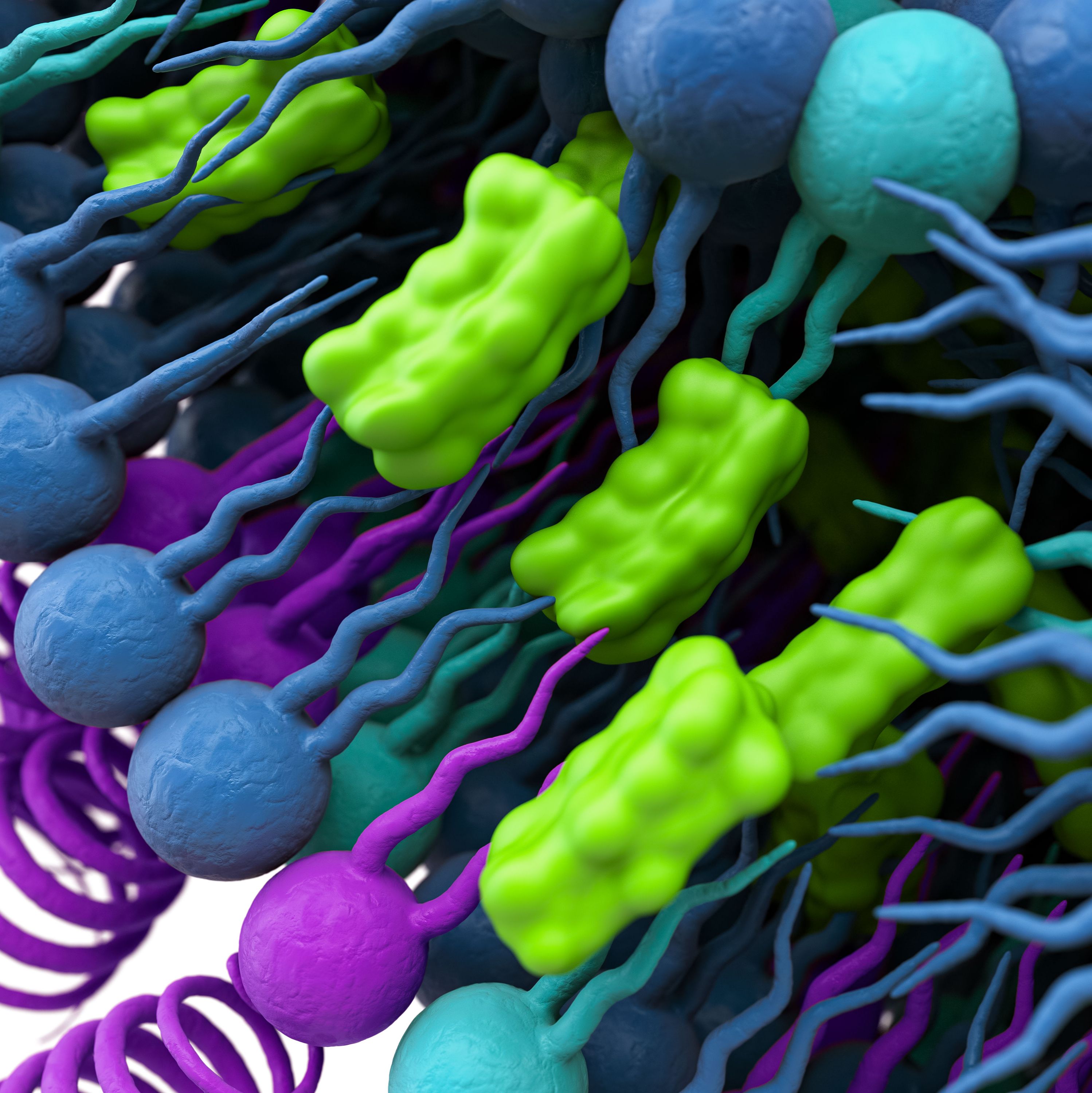 植物源胆固醇 PhytoChol® Inject