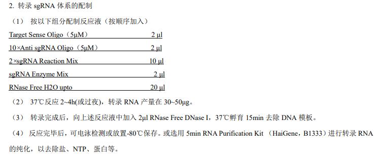 一步法sgRNA 合成试剂盒