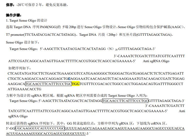 一步法sgRNA 合成试剂盒