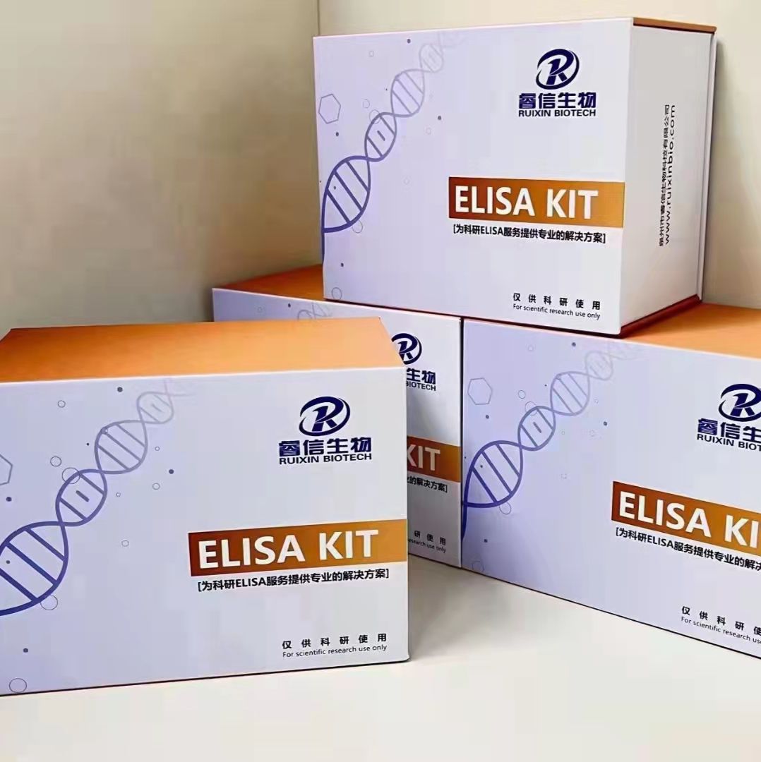 小鼠抗人轮状病毒抗体（RV-Ab）ELISA试剂盒-定制