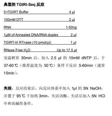 TGIRT-III Reverse Transcriptas