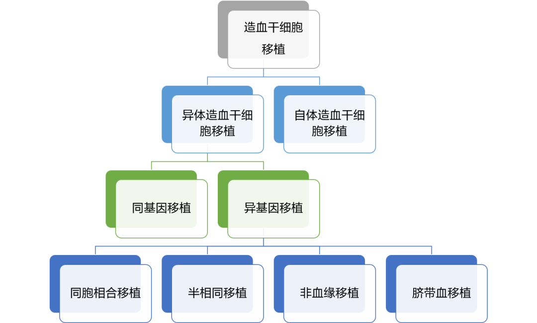 从《亲爱的小孩》看见更多白血病患儿的希望​