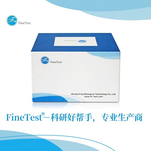 Human MMP-9 ELISA Kit|人MMP-9 ELISA試劑盒