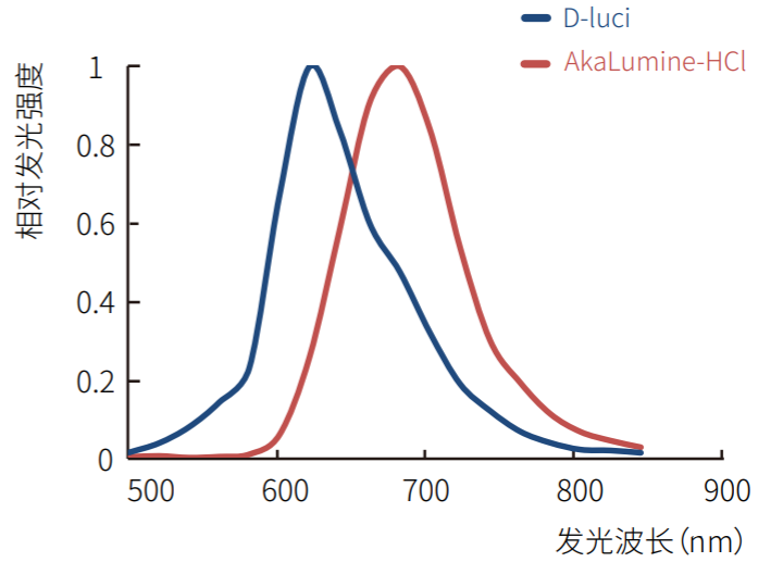 近红外荧光素Akalumine的应用