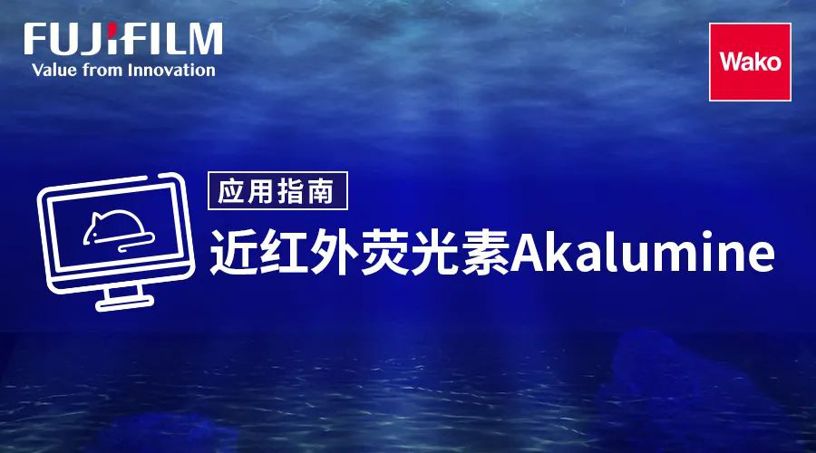 近红外荧光素Akalumine的应用