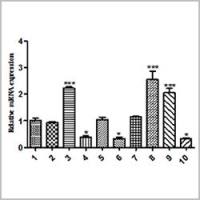 Real-time PCR