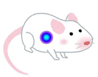 近红外荧光素Akalumine的应用