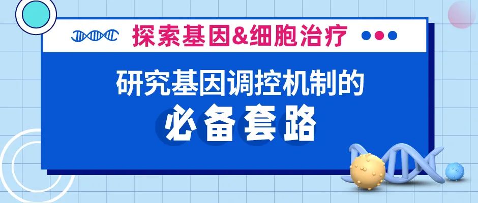 研究基因调控机制的必备套路