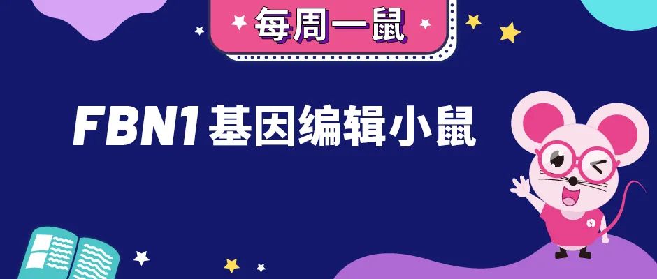 【每周一鼠】三分钟带你认识一种罕见病小鼠模型