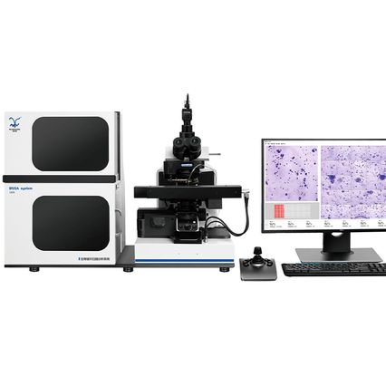 微核、染色体畸变图像自动分析系统