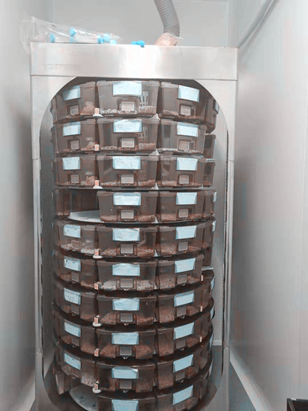 EVC饲养笼，EVC小鼠饲养笼，EVC笼