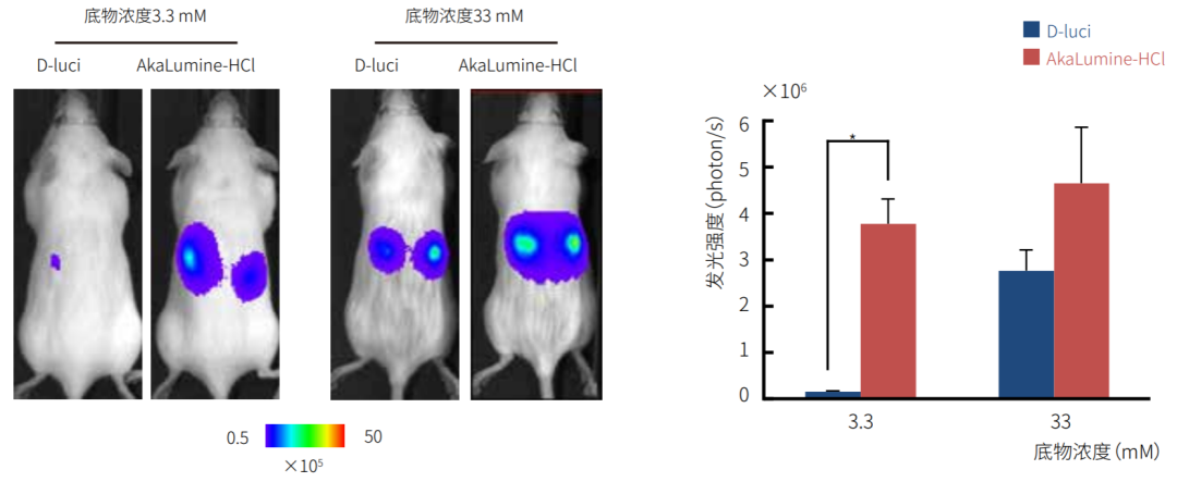 近红外荧光素Akalumine的应用