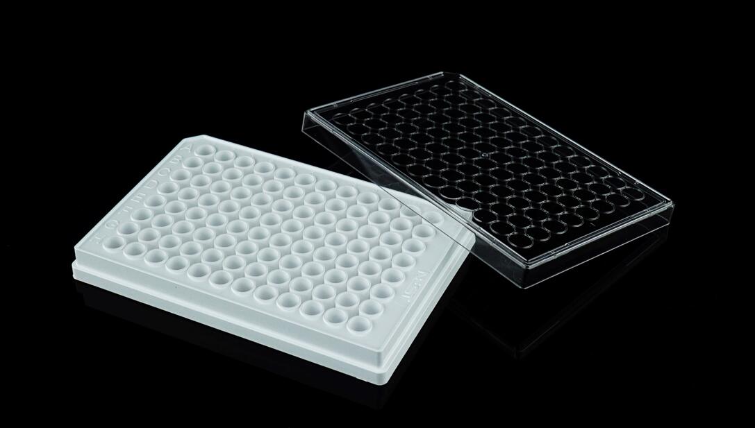 耐思384孔白色细胞培养板全新升级