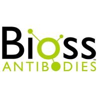 IHC kit (for Rabbit Primary Antibody)