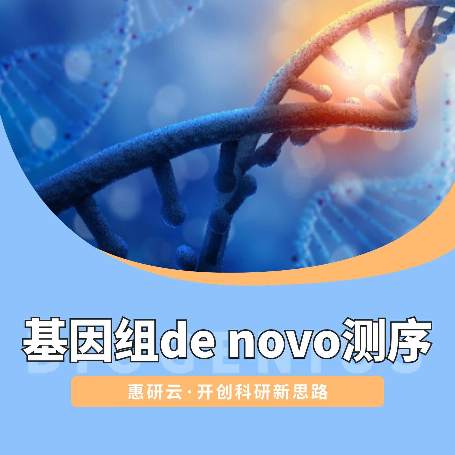基因组de novo 测序