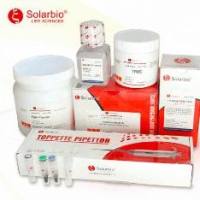 红色荧光核酸染料