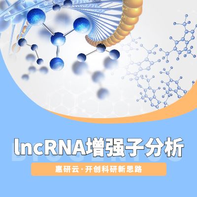 lncRNA增强子Enhancer分析