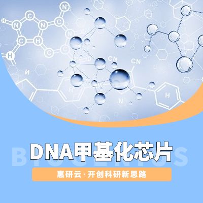 DNA甲基化芯片