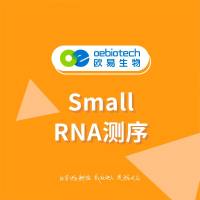 Small RNA测序-欧易生物