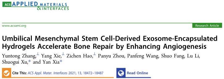 文献解读 | 大鼠骨修复或有进展！脐带MSC衍生外泌体促恢复
