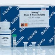 DNeasy Blood Tissue Kit (50)