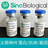 奥密克戎 (BA.2) Spike S1+S2三聚体蛋白(ECD, His Tag)