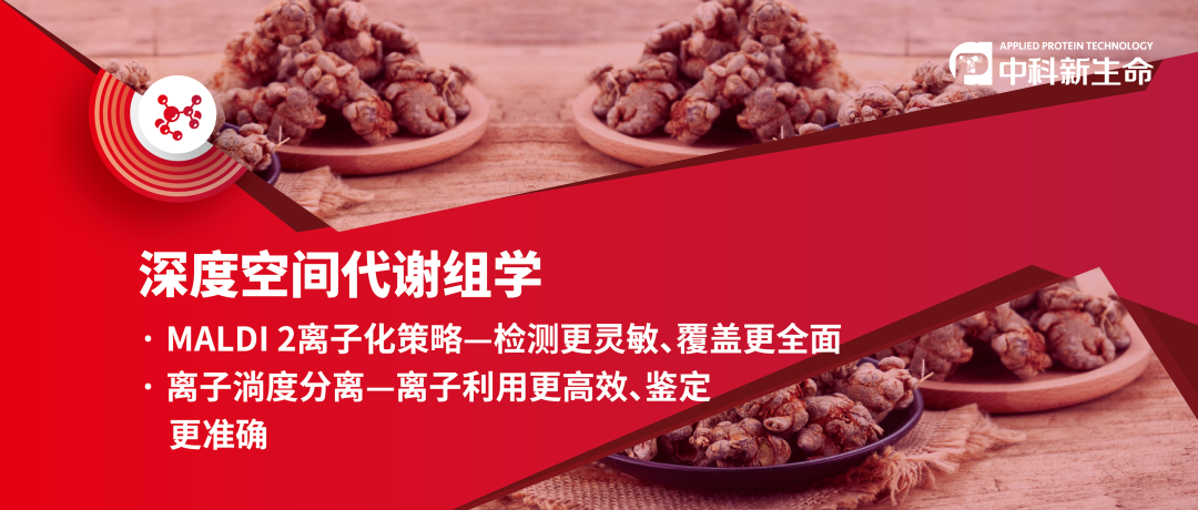 空间代谢组揭示三七中代谢物的分布和时空变化规律